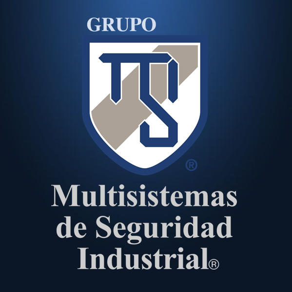 Grupo Multisistemas de Seguridad Industrial®/GMSI