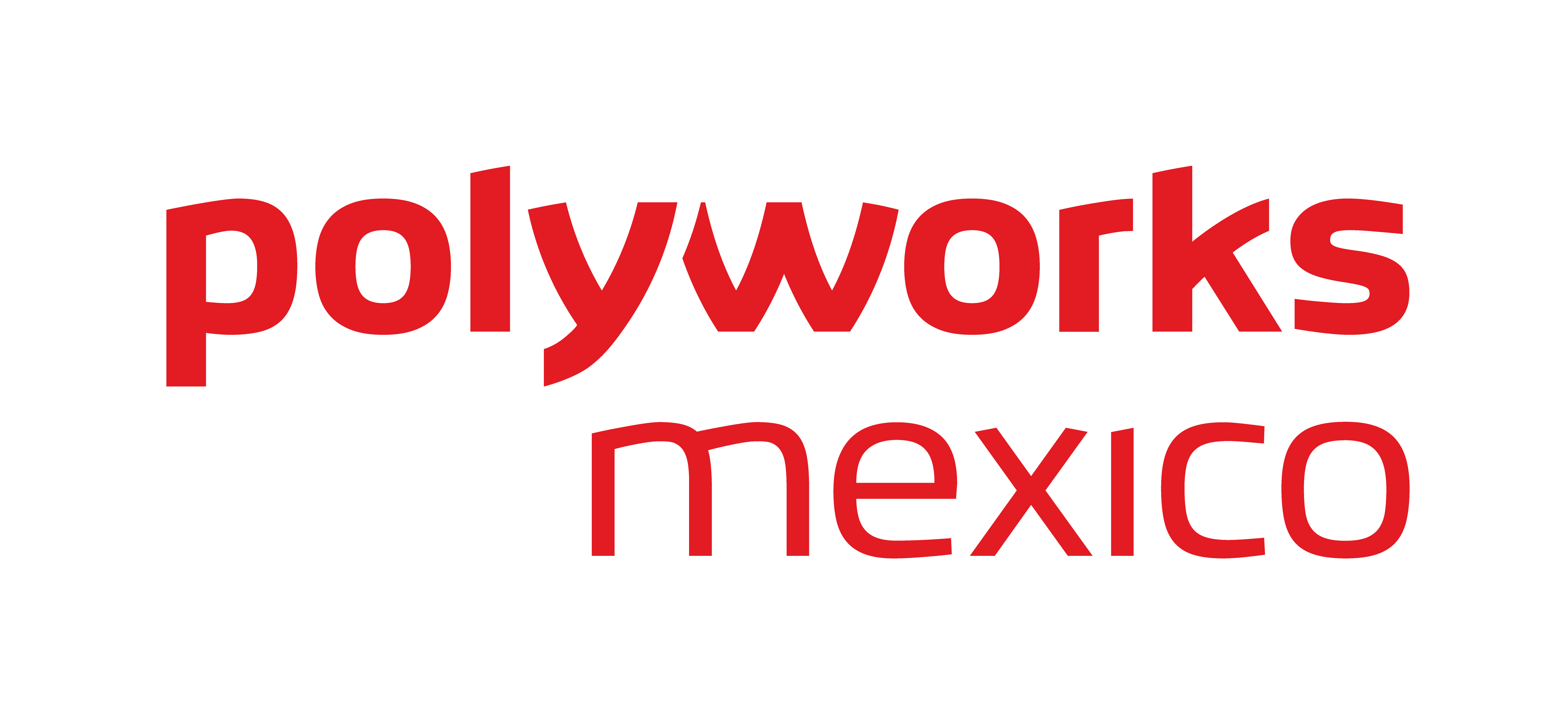 PolyWorks México
