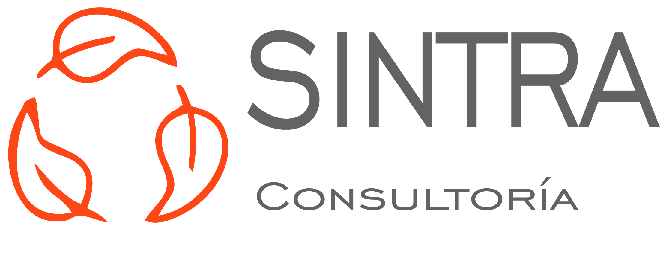 SINTRA Consultoría