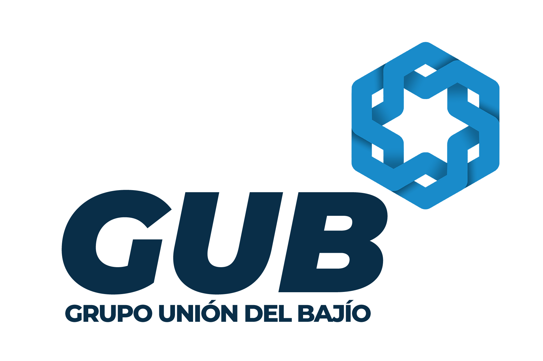Grupo Unión del Bajío