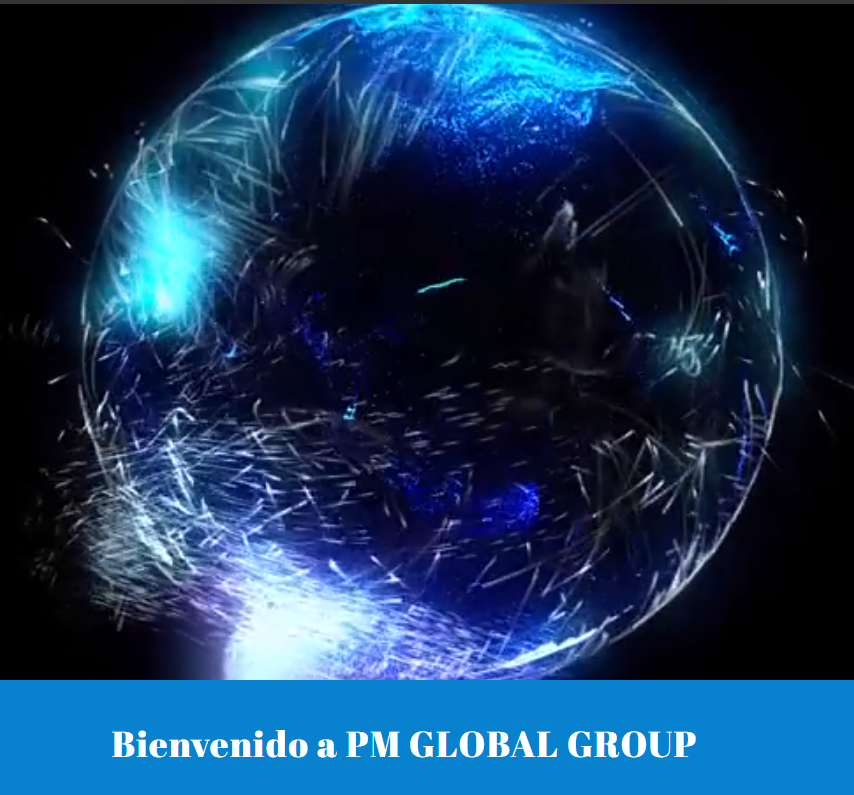 PM GLOBAL GROUP