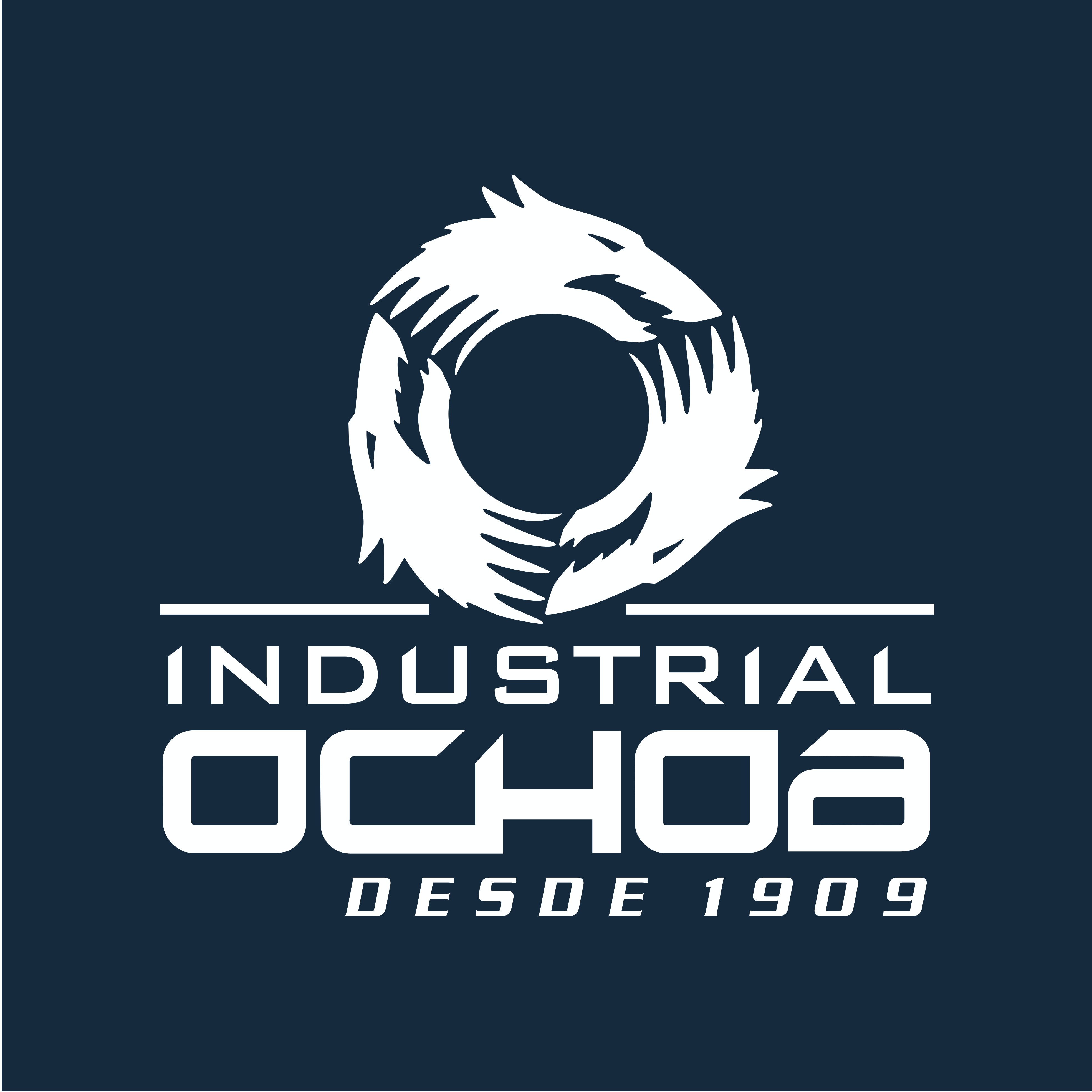 INDUSTRIAL OCHOA