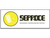 Seguridad y Protección del Centro