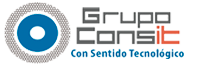 Grupo Consit